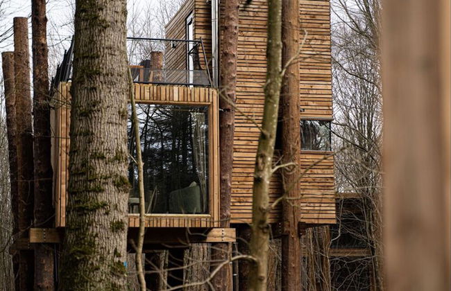 Treeloft Adventure in Nature for 4 People 5 - Foto 9