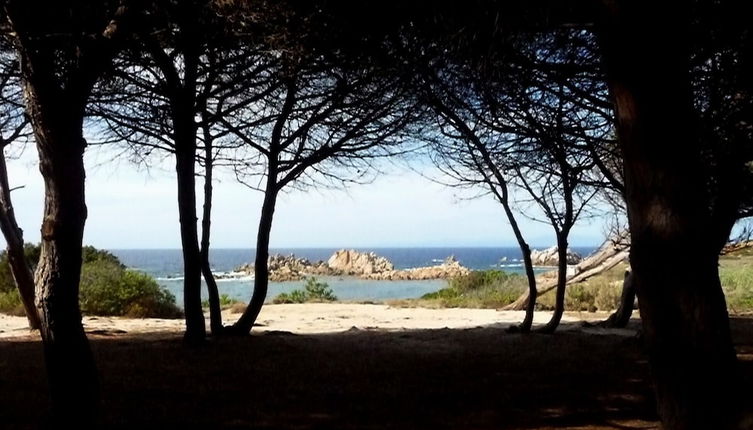 Foto 1 - Cottage-apartment In Rural Sardinia With Sun, Sea And Sand