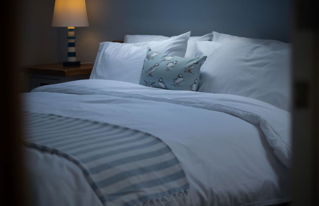 The Nest - 1 Bedroom Apartment - Tenby - Foto 7