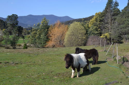 Photo 10 - Whispering Spirit Holiday Cottages