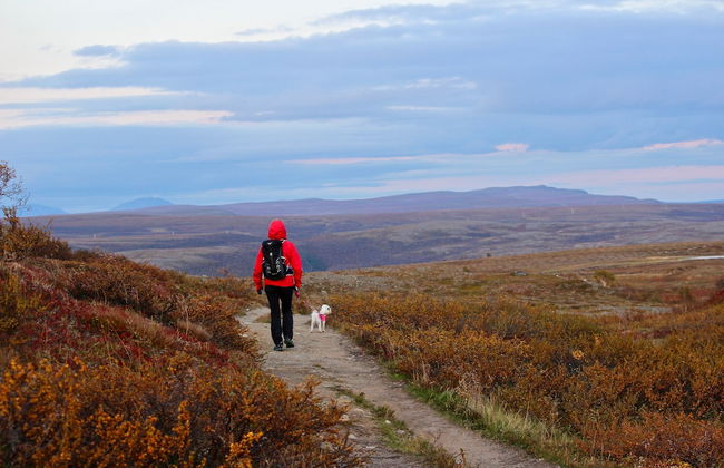 Bjørnfjell Mountain Lodge - Foto 43