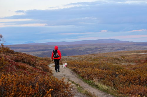 Photo 41 - Bjørnfjell Mountain Lodge