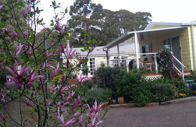 The Best Exotic Magnolia Cottage - Foto 1