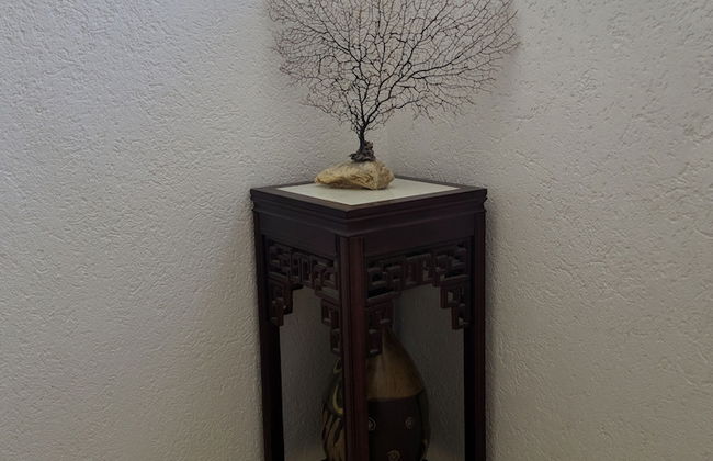Casa Mia - Foto 33
