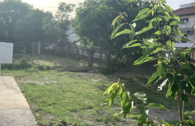 Dibra Apartmants - Foto 18