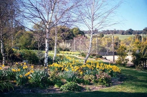 Photo 9 - Wombat Hills Cottages