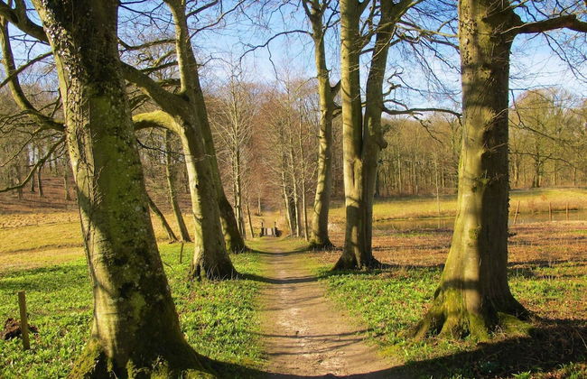 6 Person Holiday Home in Hojslev-by Traum - Photo 3