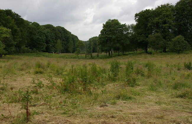 6 Person Holiday Home in Hojslev-by Traum - Photo 4