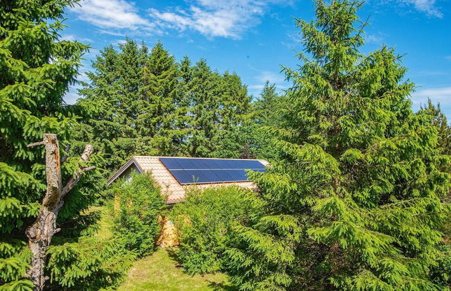 6 Person Holiday Home in Hojslev-by Traum - Photo 15