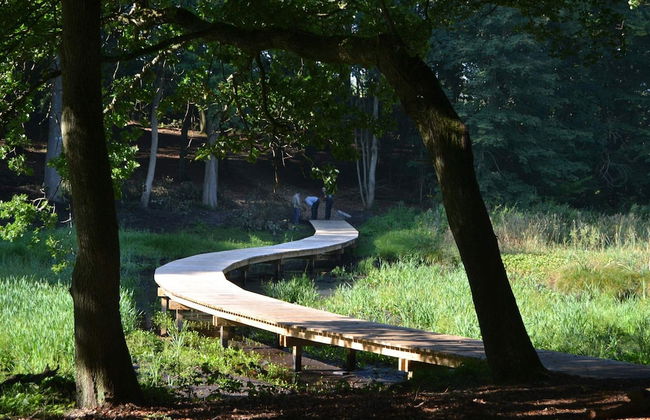 6 Person Holiday Home in Hojslev-by Traum - Photo 6