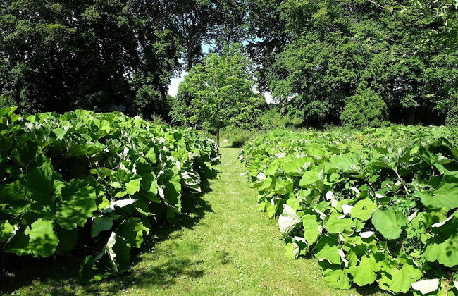 6 Person Holiday Home in Hojslev-by Traum - Photo 29