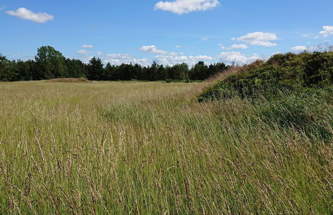 6 Person Holiday Home in Hojslev-by Traum - Photo 7