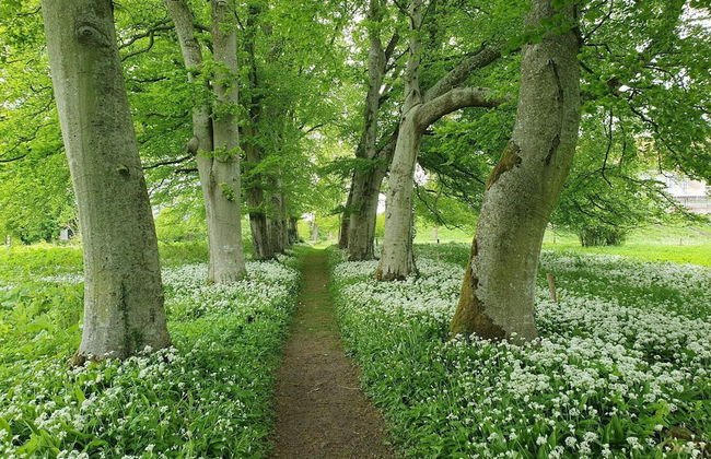 6 Person Holiday Home in Hojslev-by Traum - Photo 30