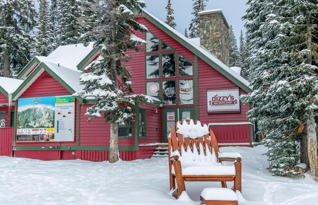 I Spy - Cozy Pet Friendly, Ski In/Ski Out Condo with Private Hot Tub - Foto 43