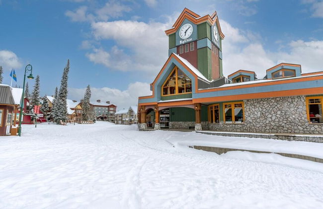 Raven's Nest - Luxury Pet Friendly Condo w/ Private Hot Tub & Mountain Views - Foto 44