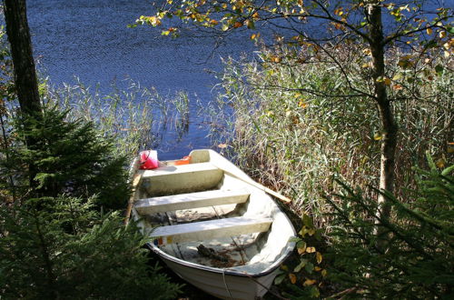 Photo 71 - Björsjödal