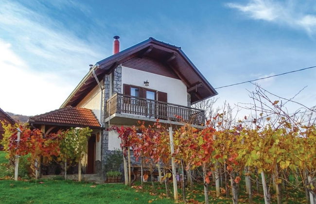 Vineyard Cottage Bahor - Foto 21