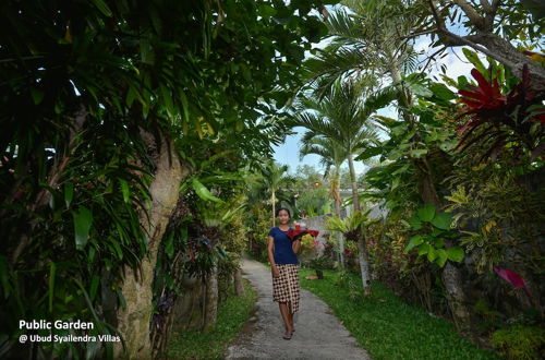 Photo 26 - Ubud Syailendra Villas