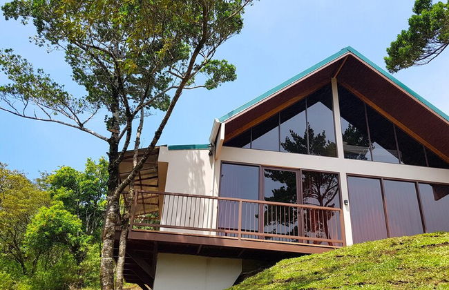 Green Forest Vacations Homes - Foto 12