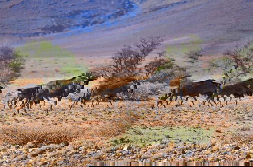 Foto 48 - Solitaire Desert Farm