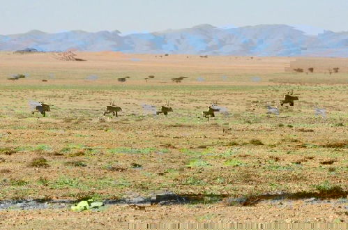 Foto 46 - Solitaire Desert Farm