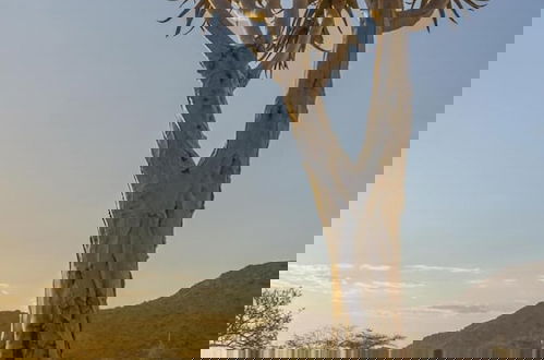 Foto 47 - Solitaire Desert Farm