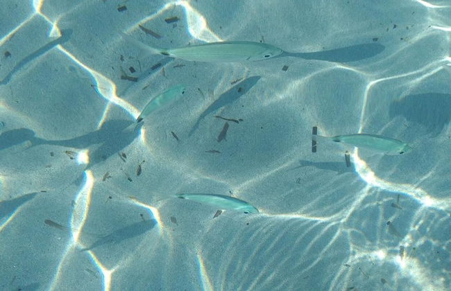 Villa Lunetta 300 Meters From the Beach - Foto 57