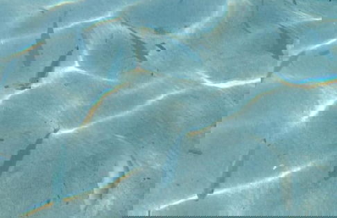 Villa Lunetta 300 Meters From the Beach - Foto 58