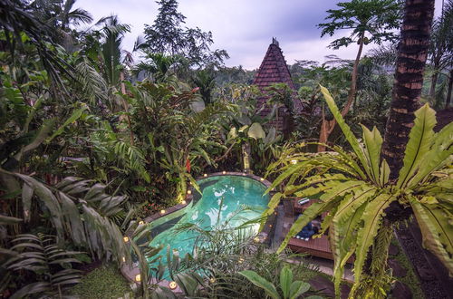 Photo 13 - D'Bale Ananda Ubud Villa