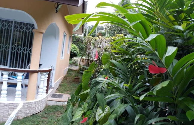 Tropical Garden Self Catering - Foto 8