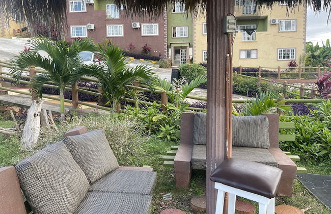 Pirate Palms - Photo 37