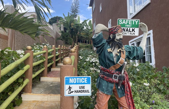 Pirate Palms - Photo 42