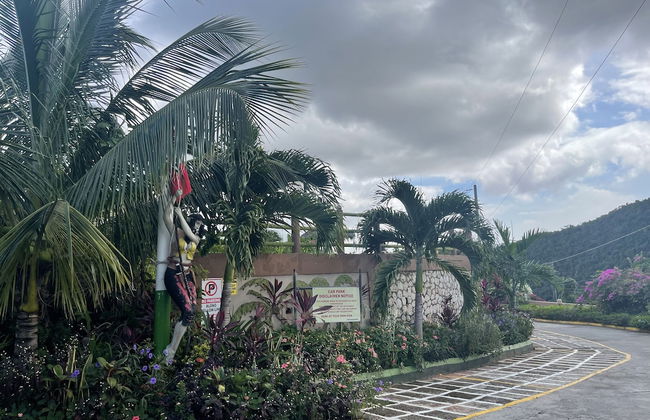 Pirate Palms - Photo 33