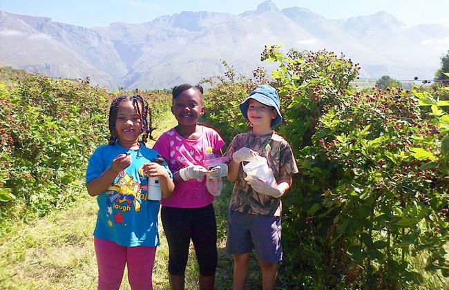 Wildebraam Berry Estate - Photo 22
