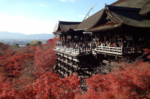 Photo 51 - Reikaku Kiyomizu-Gojo