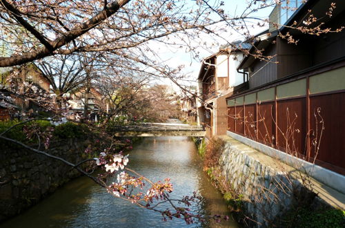 Photo 58 - Reikaku Kiyomizu-Gojo