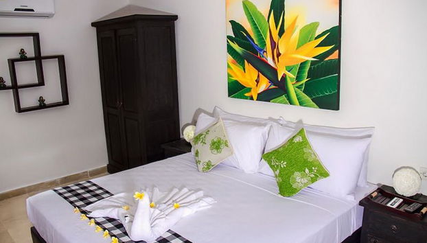 Quarto