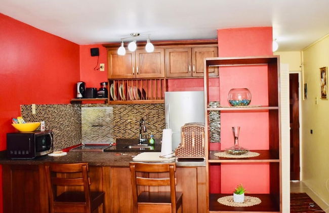 New Kingston Guest Apartment At Chelsea - Photo 6