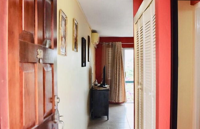 New Kingston Guest Apartment At Chelsea - Photo 15