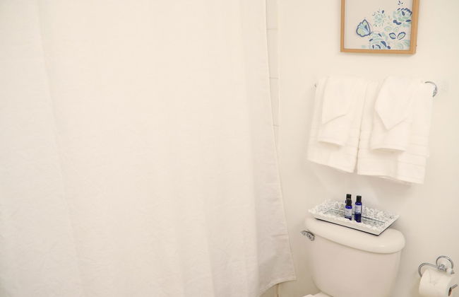 New Kingston's Deluxe Apartment - Photo 19