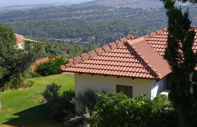 Shoresh Green Hills Family Suites Hotel - Photo 21