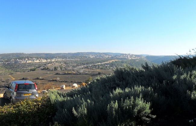 Shoresh Green Hills Family Suites Hotel - Photo 14