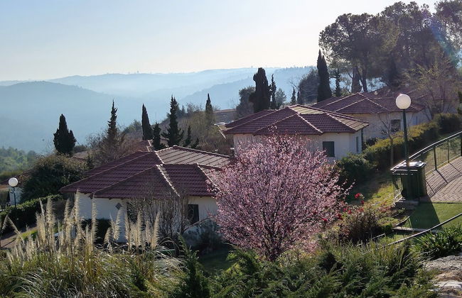 Shoresh Green Hills Family Suites Hotel - Photo 32