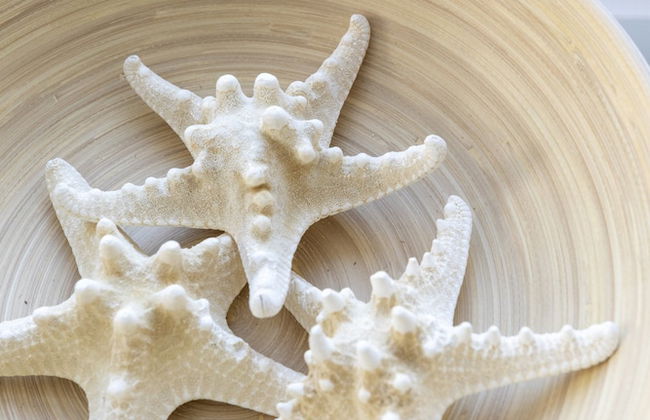 Farmhouse in Groet Near sea and Forest - Foto 31