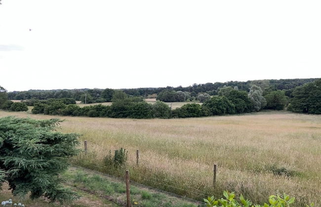 Cherry Tree Cottage - Photo 36