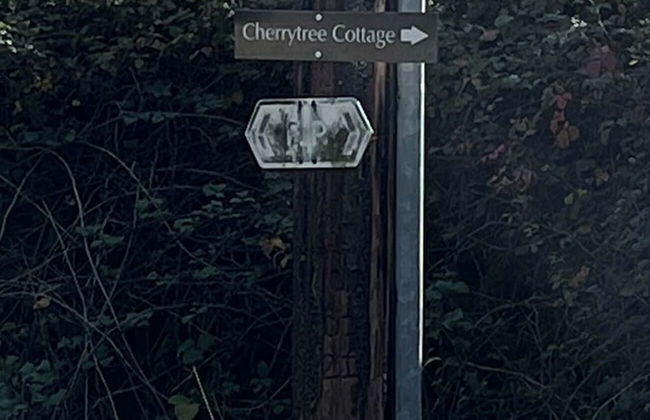 Cherry Tree Cottage - Photo 31