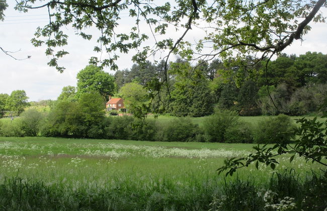 Cherry Tree Cottage - Photo 38