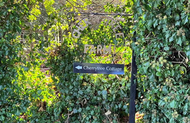 Cherry Tree Cottage - Photo 30