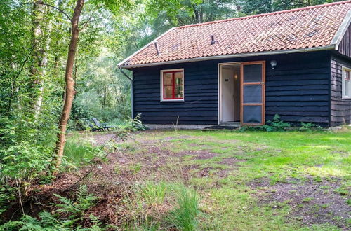 Foto 48 - Lovely Holiday Home in Rheezerveen, in the Woods of Estate