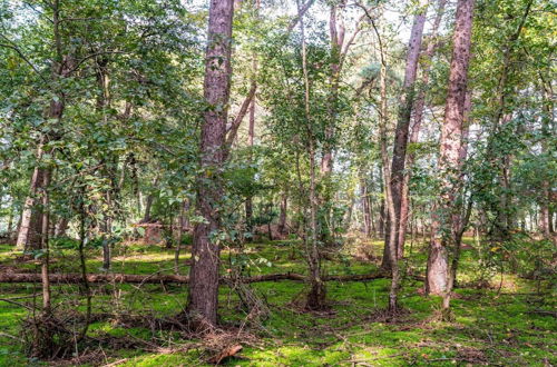 Photo 35 - Lovely Holiday Home in Rheezerveen, in the Woods of Estate